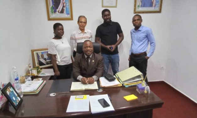 Publi-interview-GONDO Alexandre (directeur général  de Five  Stone Organization  Sarl)
