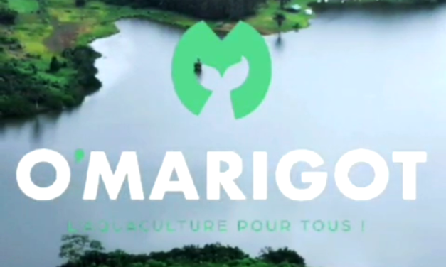 Aquaculture: O&rsquo;MAROGOT, le nouveau né du Ranch du Jourdain
